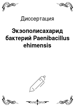Диссертация: Экзополисахарид бактерий Paenibacillus ehimensis