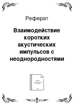 Реферат: Взаимодействие коротких акустических импульсов с неоднородностями на поверхности твердого тела