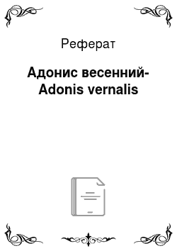 Реферат: Адонис весенний-Adonis vernalis