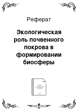 Реферат: Экологическая роль почвенного покрова в формировании биосферы