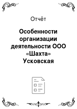 Отчёт: Особенности организации деятельности ООО «Шахта» Усковская