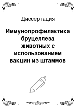 Диссертация: Иммунопрофилактика бруцеллеза животных с использованием вакцин из штаммов Br. abortus 19, 104 M, 82 и Br. suis 61