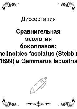Диссертация: Сравнительная экология бокоплавов: Gmelinoides fasciatus (Stebbing, 1899) и Gammarus lacustris (Sars, 1863) в Ивано-Арахлейских озерах