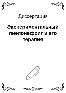 Диссертация: Экспериментальный пиелонефрит и его терапия