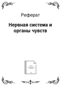 Реферат: Нервная система и органы чувств