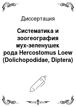 Диссертация: Систематика и зоогеография мух-зеленушек рода Hercostomus Loew (Dolichopodidae, Diptera) палеарктической фауны