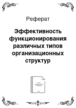 Реферат: Эффективность функционирования различных типов организационных структур