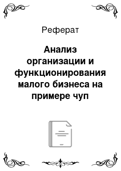 Реферат: Анализ организации и функционирования малого бизнеса на примере чуп «спецавтомастер»