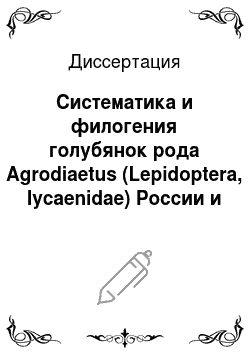 Диссертация: Систематика и филогения голубянок рода Agrodiaetus (Lepidoptera, lycaenidae) России и сопредельных стран