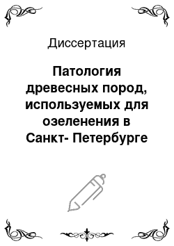 Диссертация: Патология древесных пород, используемых для озеленения в Санкт-Петербурге и его окрестностях