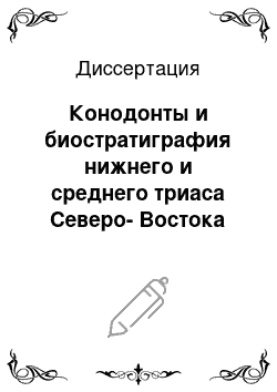 Диссертация: Конодонты и биостратиграфия нижнего и среднего триаса Северо-Востока России