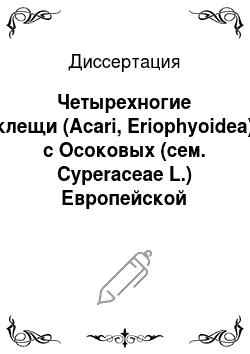 Диссертация: Четырехногие клещи (Acari, Eriophyoidea) с Осоковых (сем. Cyperaceae L.) Европейской части России и сопредельных территорий