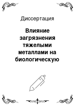 Диссертация: Влияние загрязнения тяжелыми металлами на биологическую активность черноземов обыкновенных Северного Приазовья и Западного Предкавказья