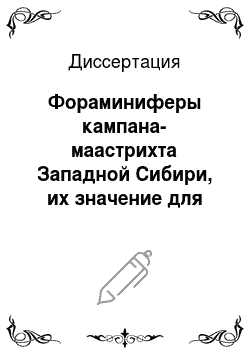Диссертация: Фораминиферы кампана-маастрихта Западной Сибири, их значение для стратиграфии и палеоэкологии