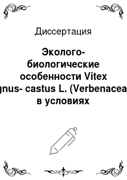 Диссертация: Эколого-биологические особенности Vitex agnus-castus L. (Verbenaceae) в условиях Северо-Западного Кавказа