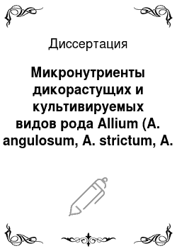 Диссертация: Микронутриенты дикорастущих и культивируемых видов рода Allium (A. angulosum, A. strictum, A. schoenoprasum) на европейском Северо-Востоке России