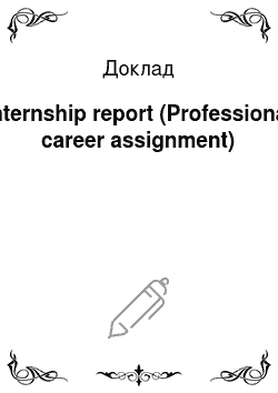 Доклад: Internship report (Professional career assignment)