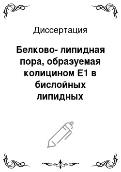 Диссертация: Белково-липидная пора, образуемая колицином Е1 в бислойных липидных мембранах