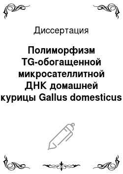 Диссертация: Полиморфизм TG-обогащенной микросателлитной ДНК домашней курицы Gallus domesticus
