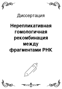 Диссертация: Нерепликативная гомологичная рекомбинация между фрагментами РНК полиовируса