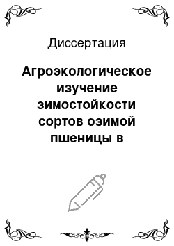 Диссертация: Агроэкологическое изучение зимостойкости сортов озимой пшеницы в лесостепной зоне Поволжья