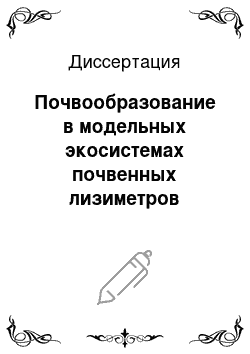 Диссертация: Почвообразование в модельных экосистемах почвенных лизиметров