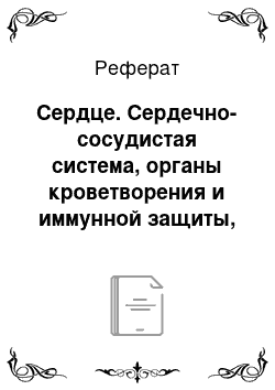 Реферат: Сердце. Сердечно-сосудистая система, органы кроветворения и иммунной защиты, органы эндокринной системы