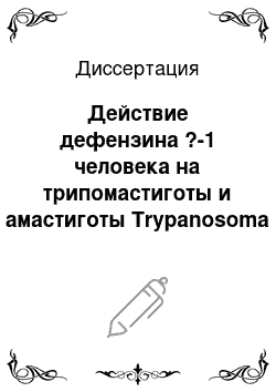 Диссертация: Действие дефензина ?-1 человека на трипомастиготы и амастиготы Trypanosoma cruzi in vitro