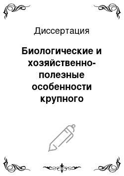 Диссертация: Биологические и хозяйственно-полезные особенности крупного рогатого скота черно-пестрой породы при различном возрасте первого плодотворного осеменения