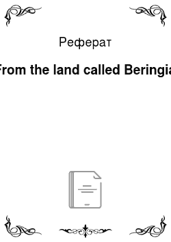 Реферат: From the land called Beringia