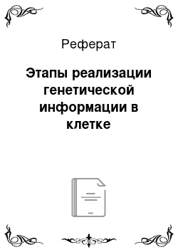 Реферат: Этапы реализации генетической информации в клетке