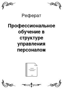 Реферат: Профессиональное обучение в структуре управления персоналом газовых хозяйств