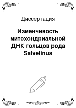 Диссертация: Изменчивость митохондриальной ДНК гольцов рода Salvelinus