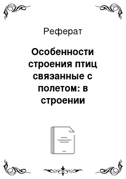 Реферат: Особенности строения птиц связанные с полетом: в строении покровов, скелета и внутренних органов