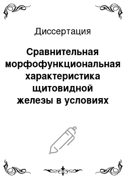 Диссертация: Сравнительная морфофункциональная характеристика щитовидной железы в условиях динамической и статической физических нагрузок