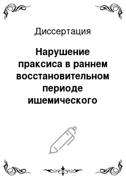 Диссертация: Нарушение праксиса в раннем восстановительном периоде ишемического инсульта: частота, клинико-нейровизуализационные сопоставления, влияние на ограничения жизнедеятельности