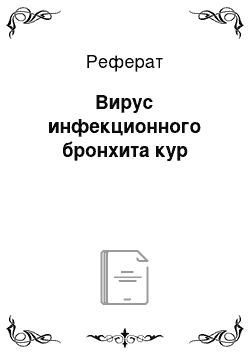 Реферат: Вирус инфекционного бронхита кур