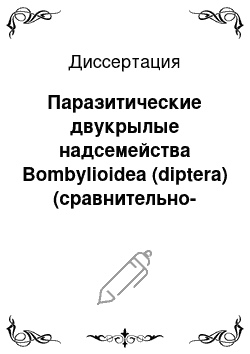 Диссертация: Паразитические двукрылые надсемейства Bombylioidea (diptera) (сравнительно-морфологический обзор, филогения и система)