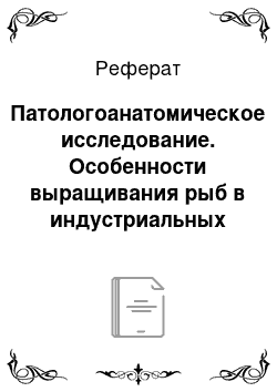 Реферат: Патологоанатомическое исследование. Особенности выращивания рыб в индустриальных рыбоводных хозяйствах, ветеринарные требования к ним