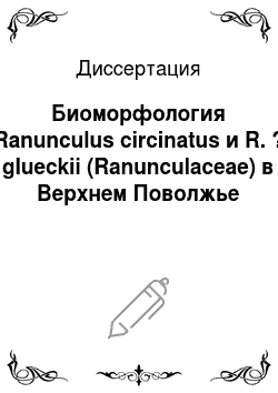 Диссертация: Биоморфология Ranunculus circinatus и R. ? glueckii (Ranunculaceae) в Верхнем Поволжье