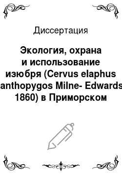 Диссертация: Экология, охрана и использование изюбря (Cervus elaphus xanthopygos Milne-Edwards, 1860) в Приморском крае
