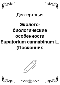 Диссертация: Эколого-биологические особенности Eupatorium cannabinum L. (Посконник коноплевидный) в связи с интродукцией в подзоне южной тайги Западной Сибири
