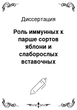 Диссертация: Роль иммунных к парше сортов яблони и слаборослых вставочных подвоев в создании садов интенсивного типа