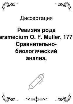 Диссертация: Ревизия рода Paramecium O. F. Muller, 1773: Сравнительно-биологический анализ, систематика и филогенетические связи
