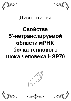 Диссертация: Свойства 5'-нетранслируемой области мРНК белка теплового шока человека HSP70