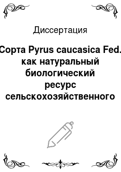 Диссертация: Сорта Pyrus caucasica Fed. как натуральный биологический ресурс сельскохозяйственного сырья на Северо-Западном Кавказе
