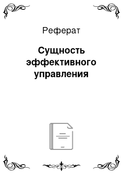 Реферат: Сущность эффективного управления