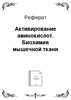 Реферат: Активирование аминокислот. Биохимия мышечной ткани