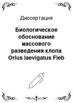 Диссертация: Биологическое обоснование массового разведения клопа Orius laevigatus Fieb