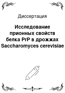 Диссертация: Исследование прионных свойств белка PrP в дрожжах Saccharomyces cerevisiae